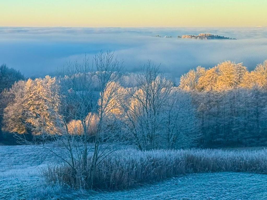 Ferienwohnungen Bauer - Auszeit Mit Ausblick Zenting Екстер'єр фото